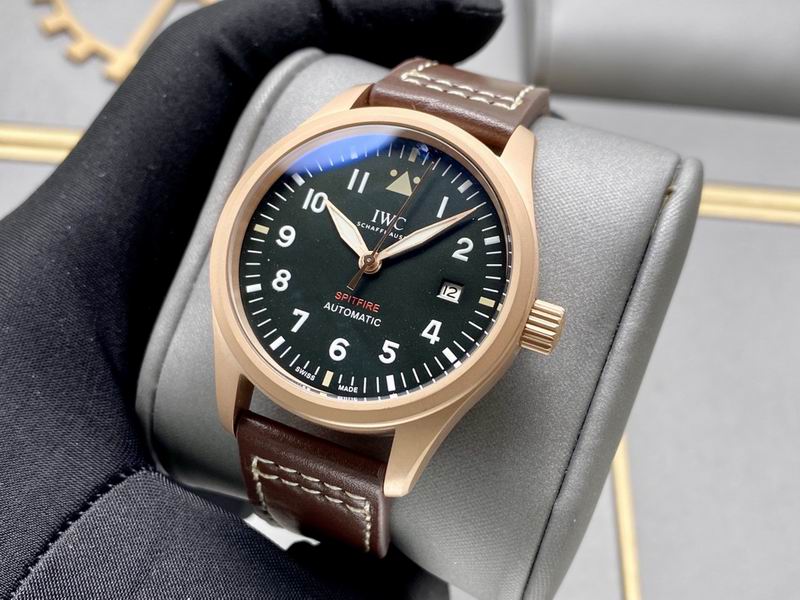 IWC 40X13mm 0506159